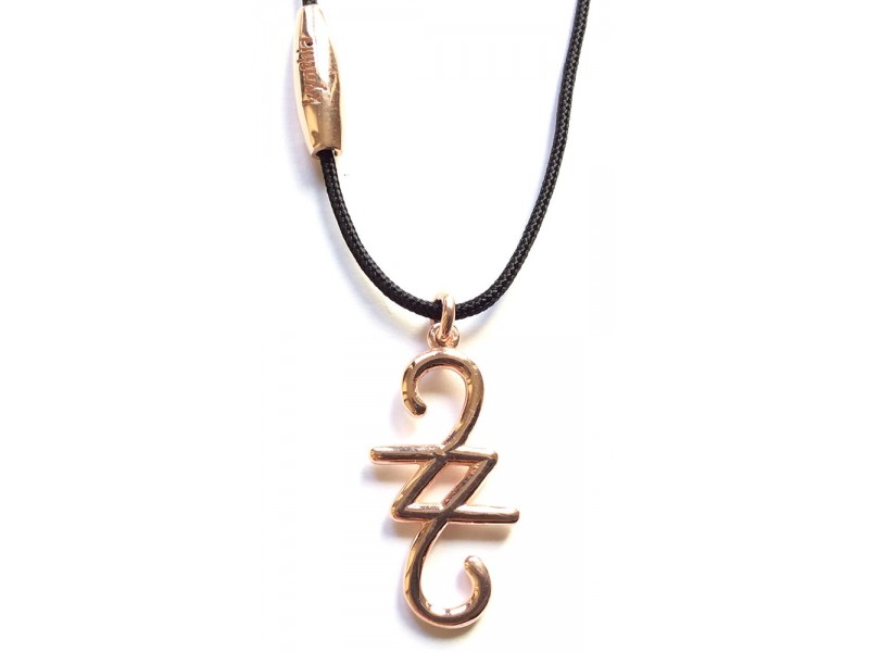 Silver charm necklace 2022, rose gold, with black cord